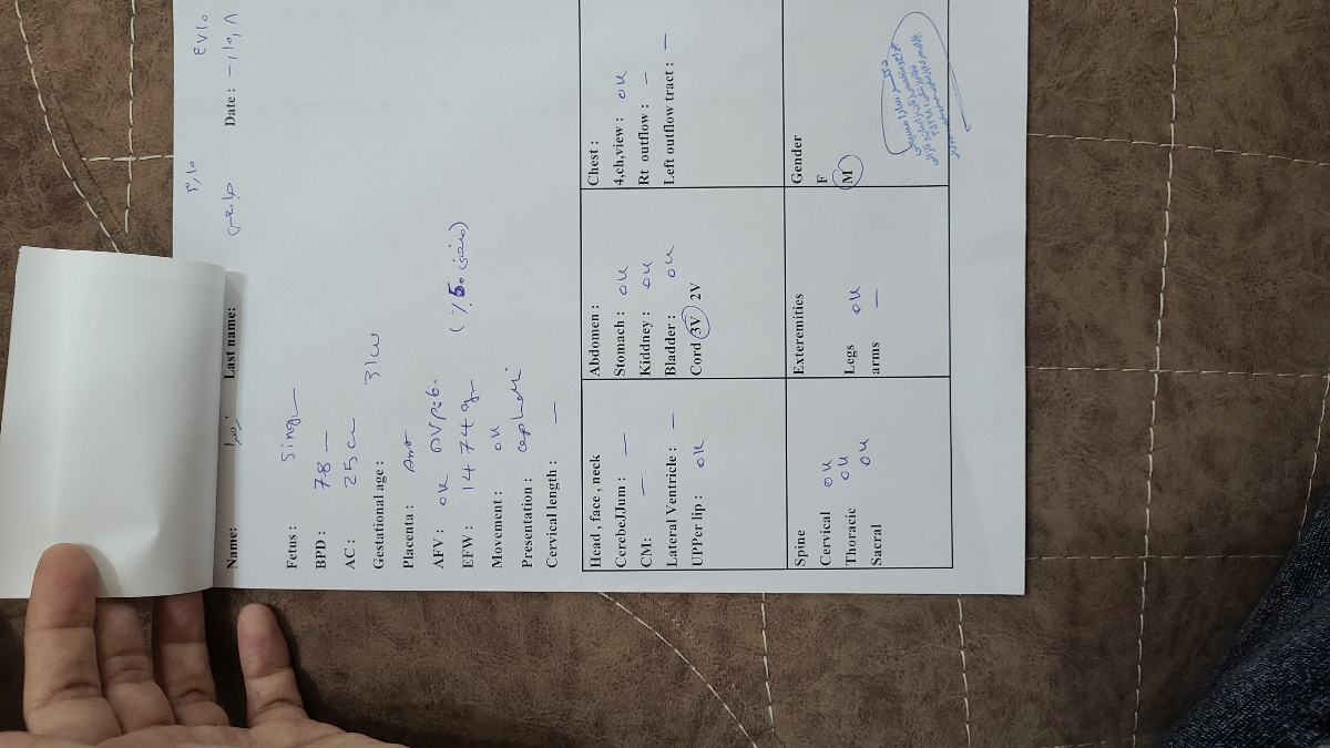 تفسیر سونوگرافی هفته ۳۱بارداری تفسیر سونوگرافی هفته ۳۱بارداری