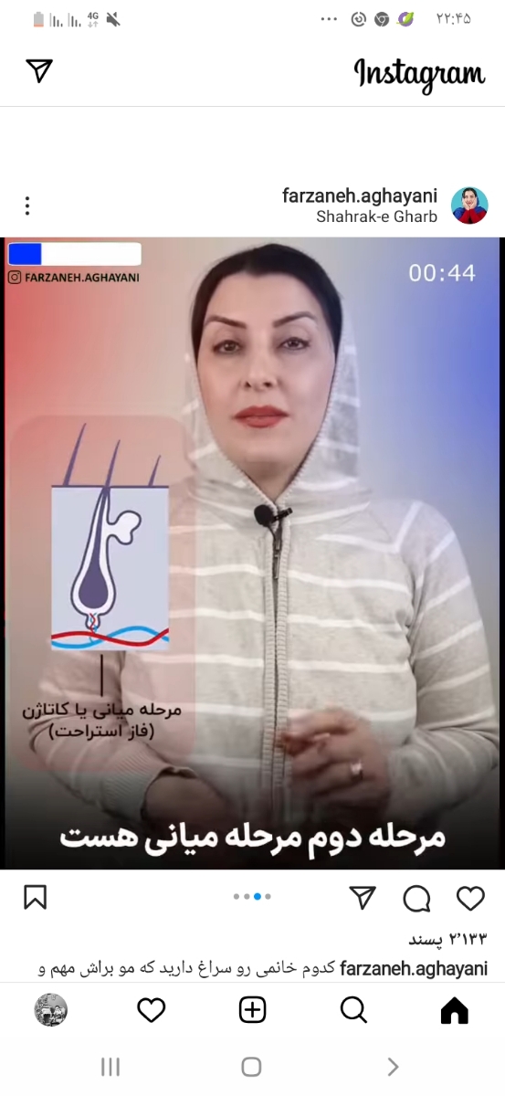 بارداری هفته هفتم حاملگی بارداری هفته هفتم حاملگی