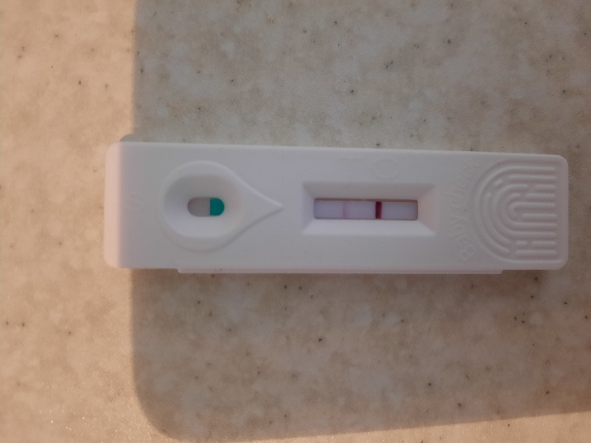 بی بی چک و تست بتا رو ببینید بی بی چک و تست بتا رو ببینید