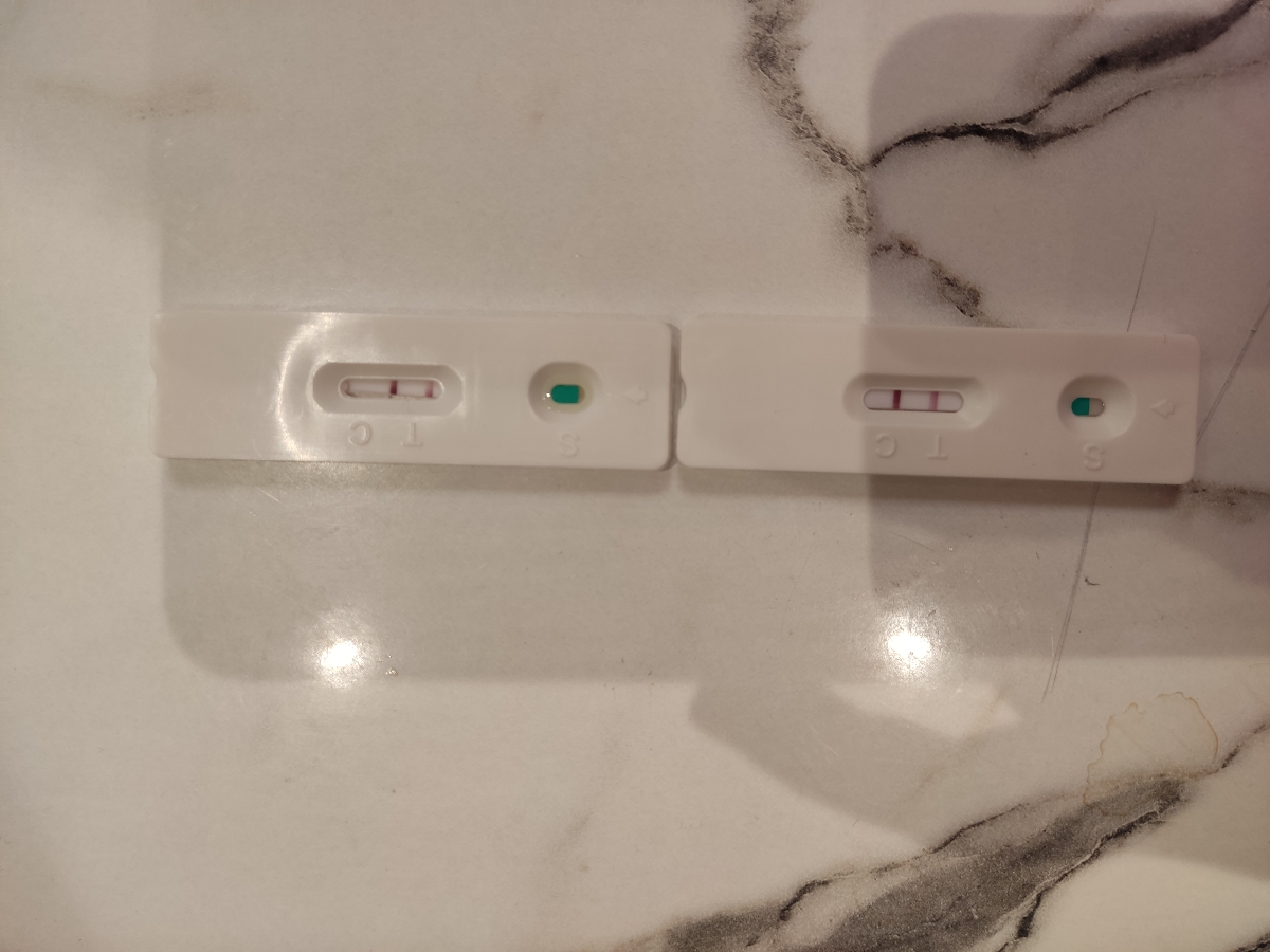 بی بی چک و تست بتا رو ببینید بی بی چک و تست بتا رو ببینید