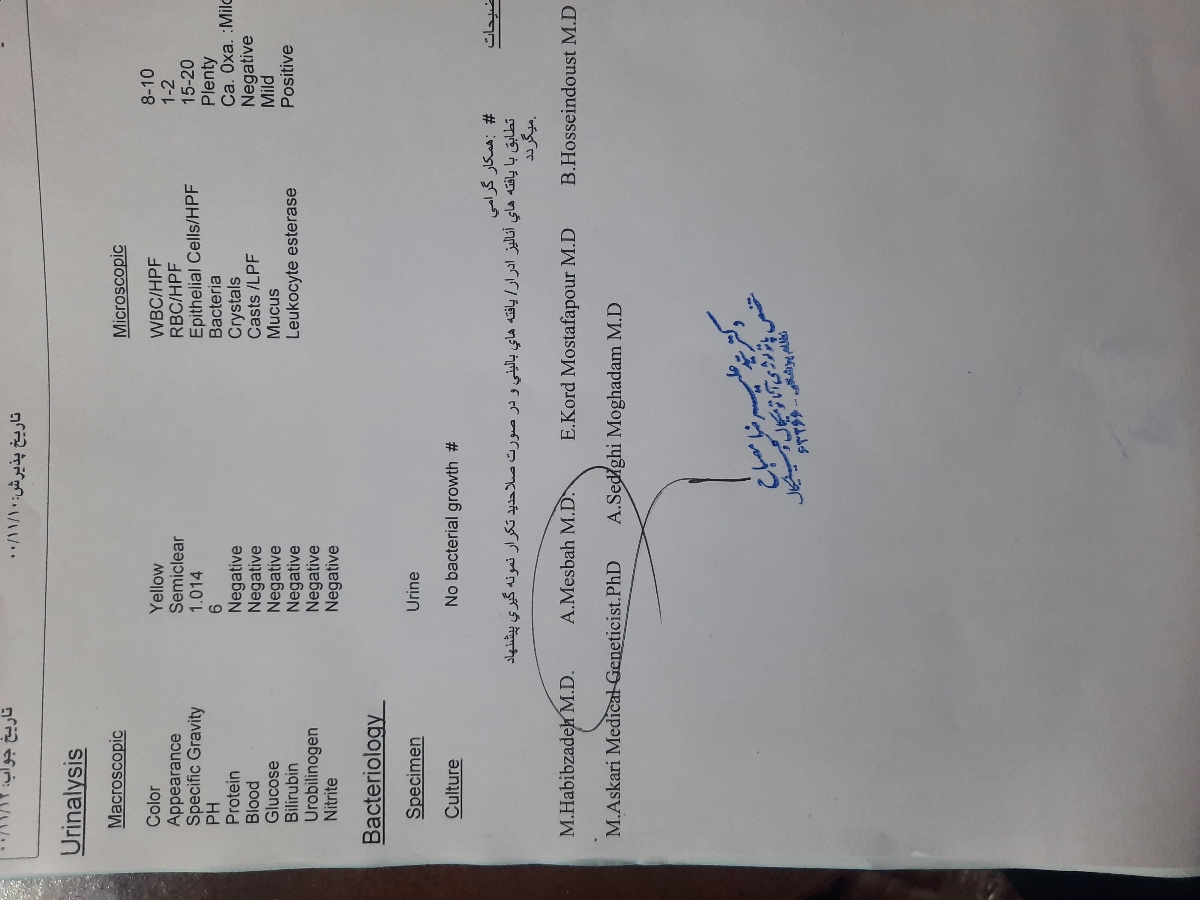 تفسیر ازمایش ادرار در بارداری