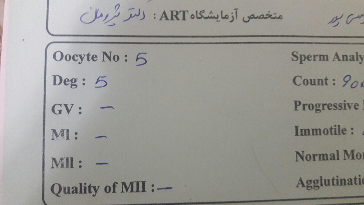 گرفتن عمق رحم قبل از انتقال جنین