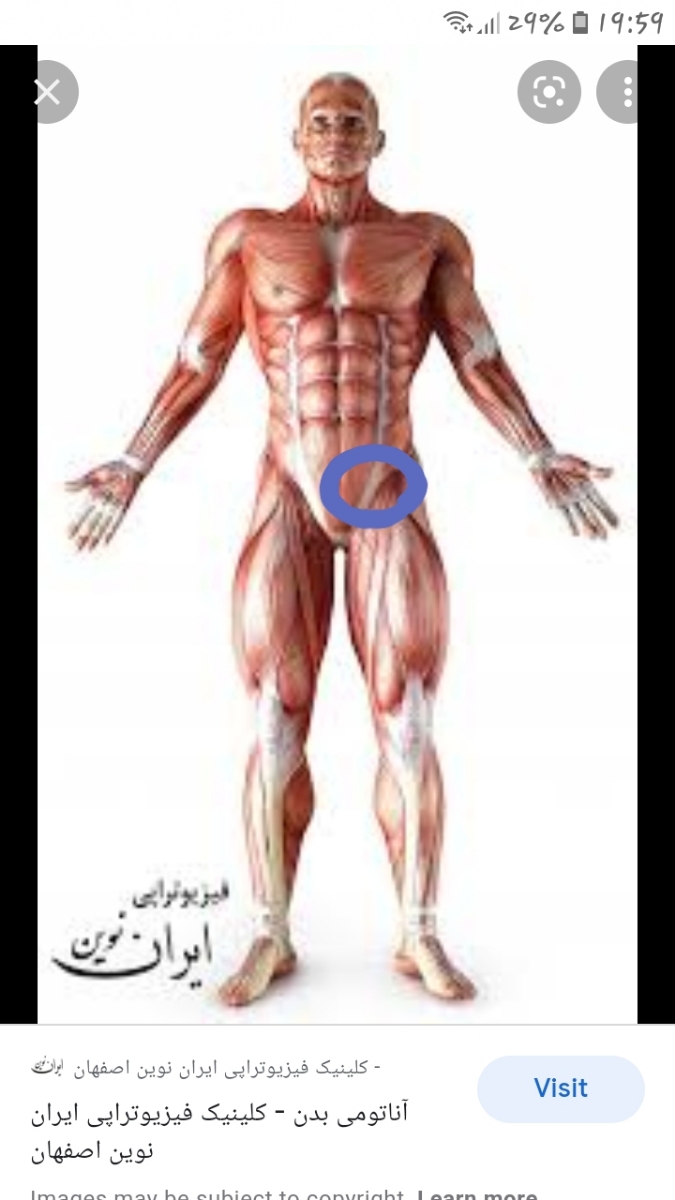 اینجا تخمدان این عمو