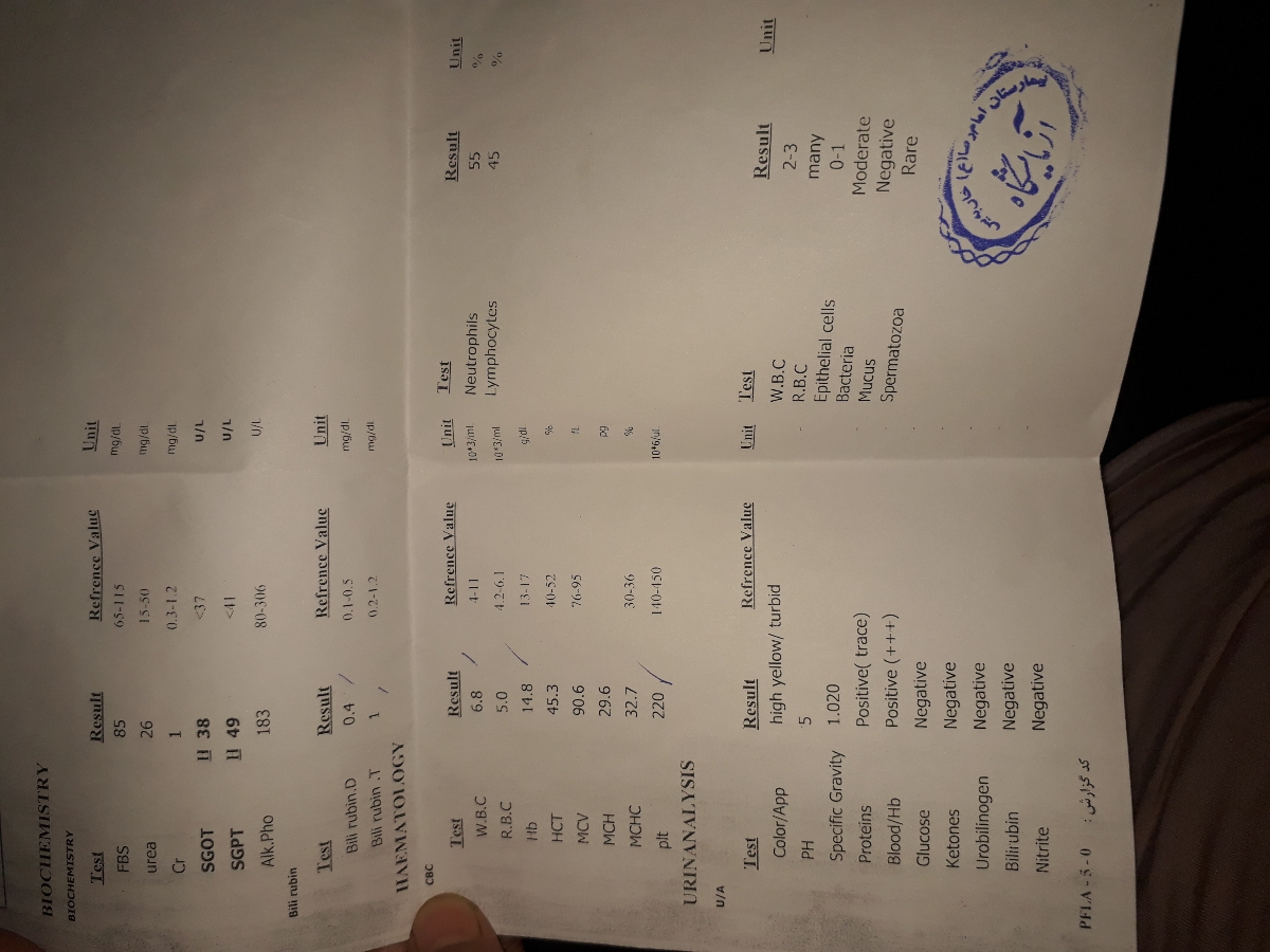 تفسیر سونوگرافی از مثانه و کلیه تفسیر سونوگرافی از مثانه و کلیه