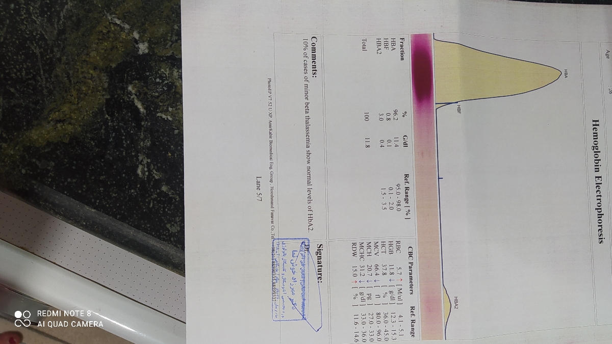 تفسیر ازمایش خون لطفا
