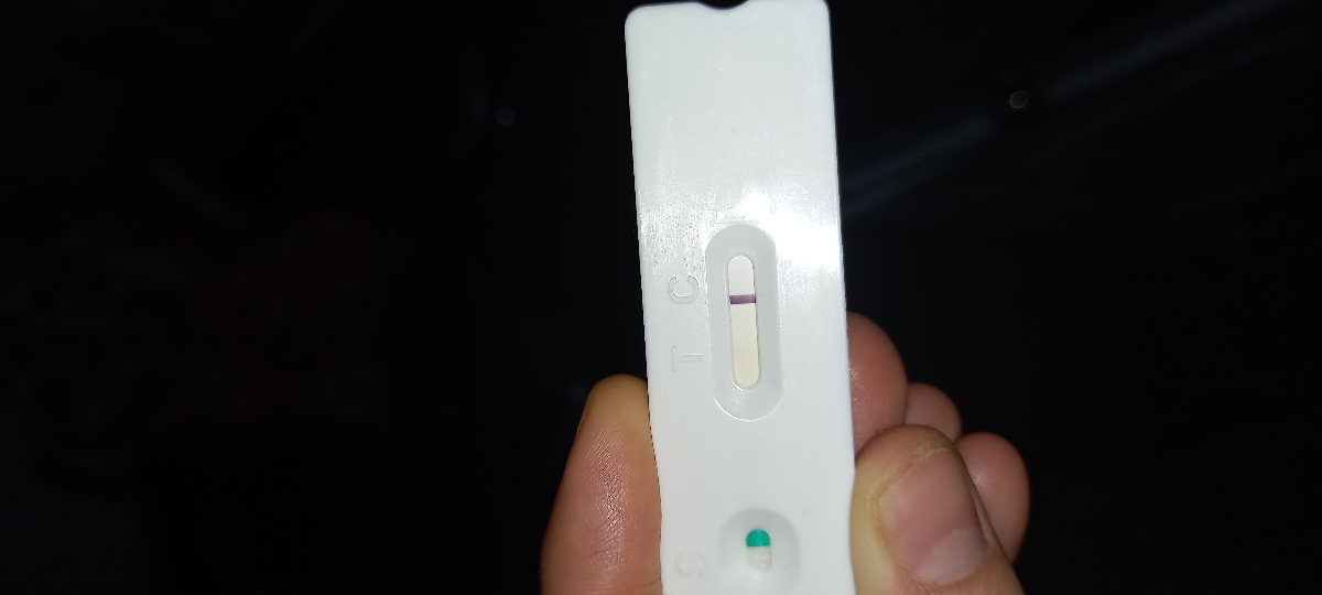 آیا این بی بی چک ها هاله دارن