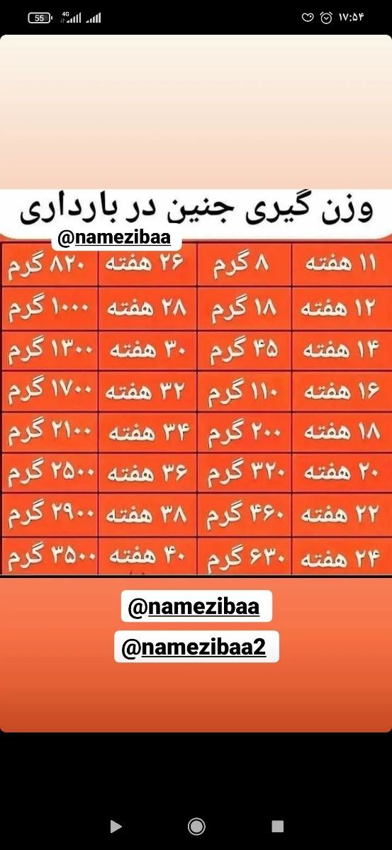 برای وزنگیری جنین چیکار کنم برای وزنگیری جنین چیکار کنم