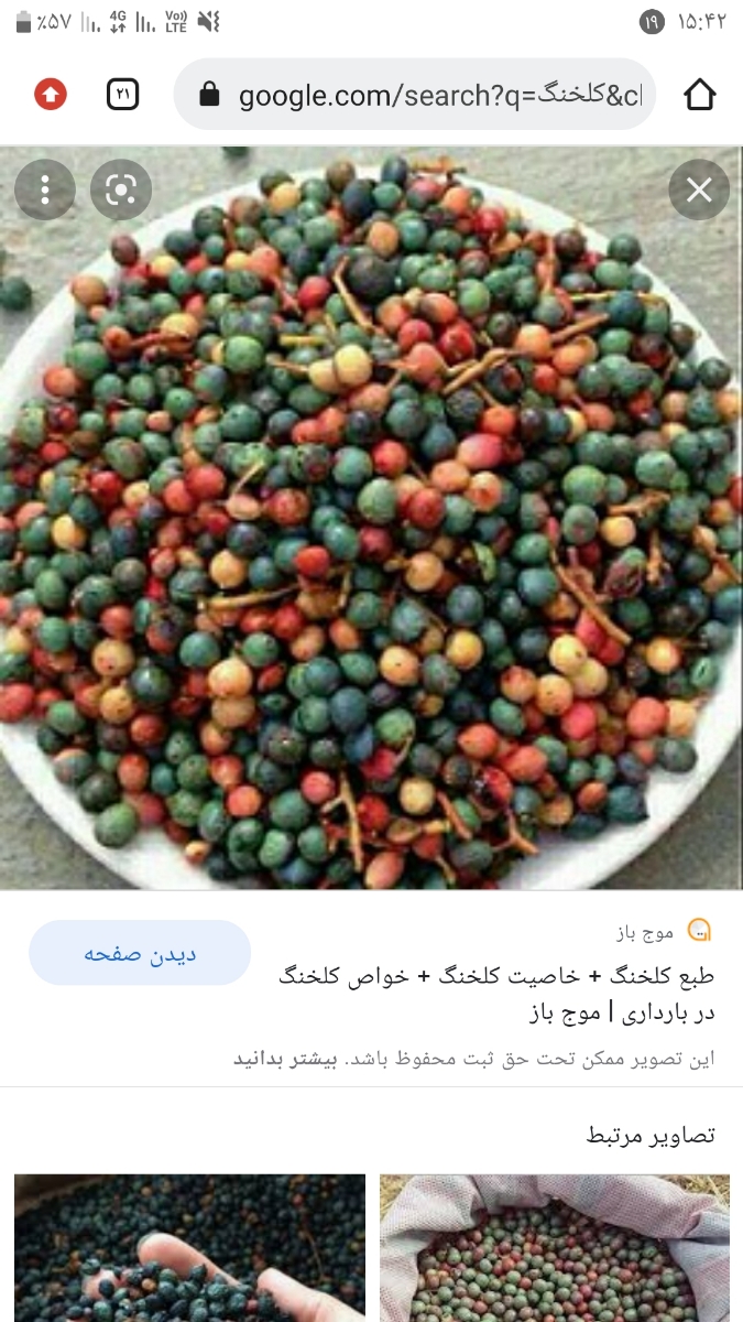 کیا تو درست کردن خیارشور استادن؟؟؟🥒🥒🥒🥒🥒🥒