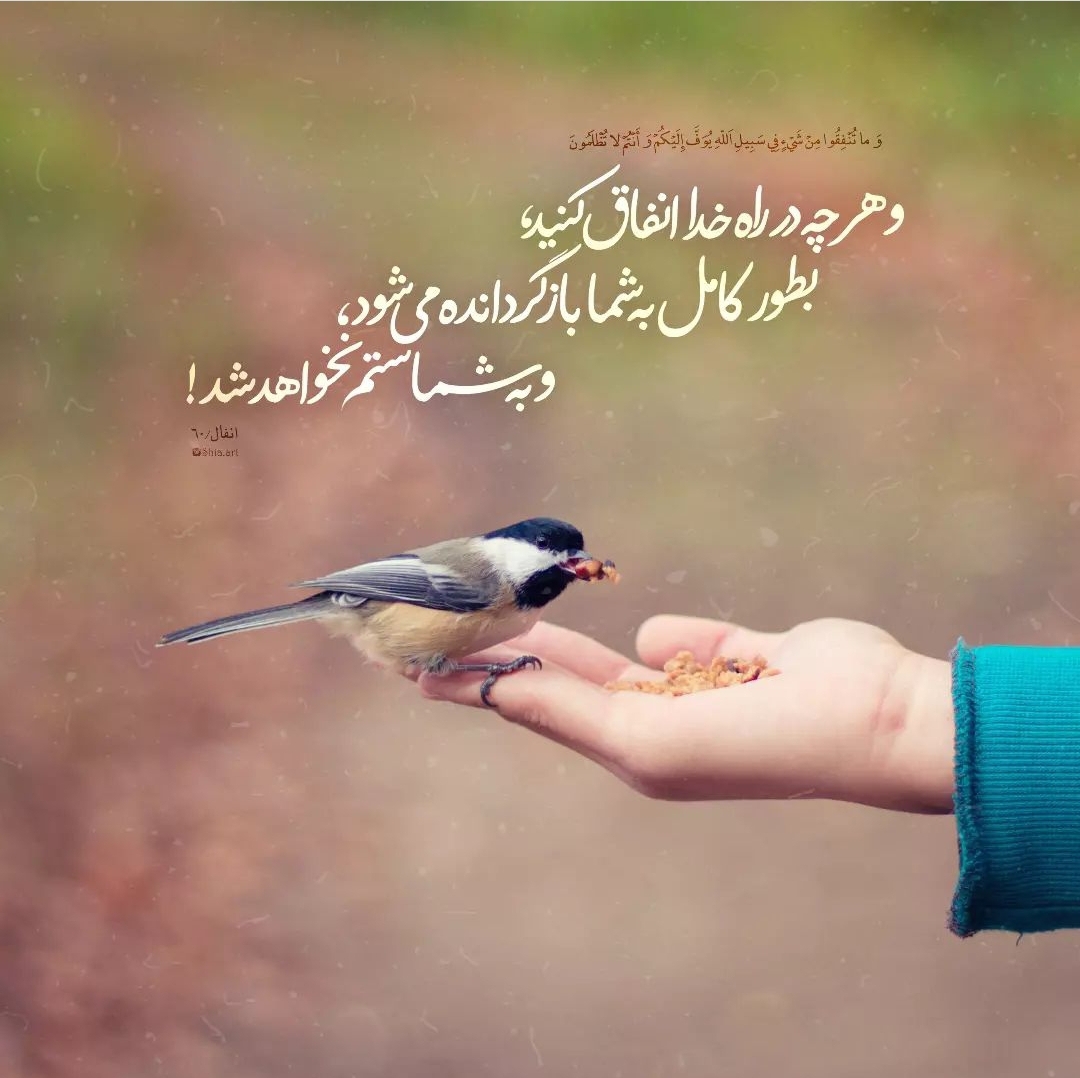 📣کمک به زوج های نابارور در برنامه سمت خدا📣 📣کمک به زوج های نابارور در برنامه سمت خدا📣