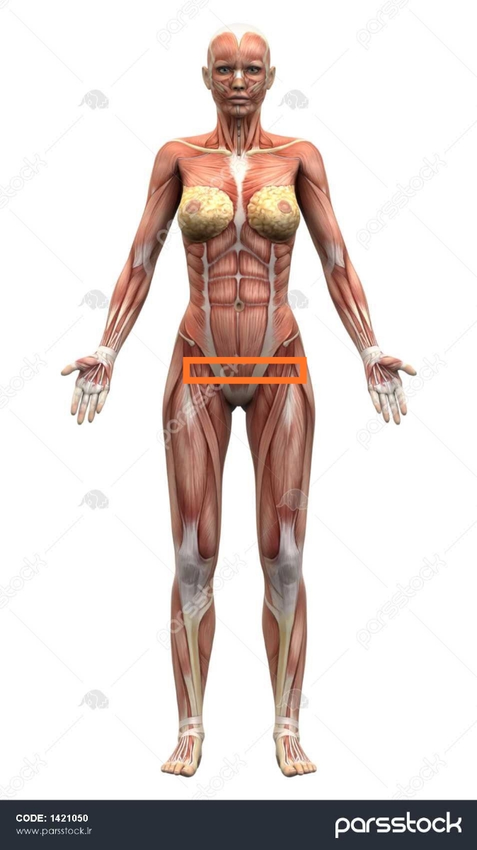 حرکاتش رو تقریبا اینجا حس میکنم