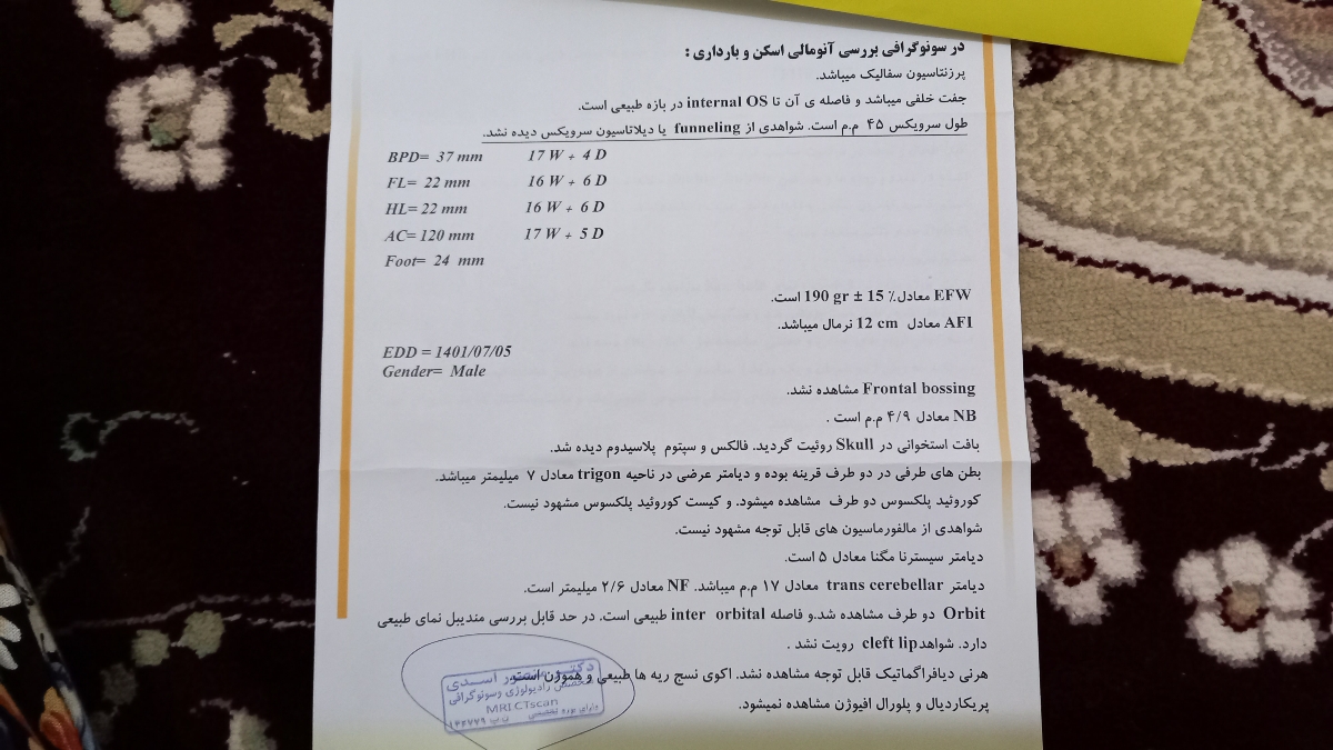 صفحه اول صفحه اول