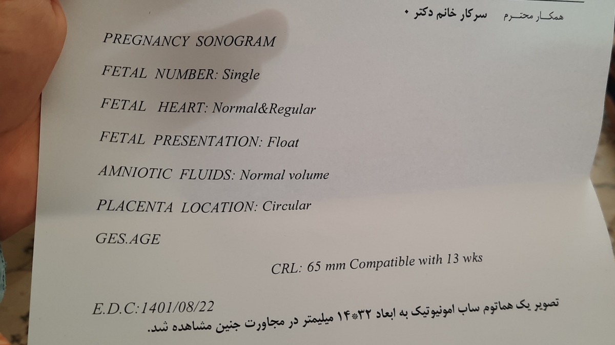 دفع لخته در هفته ۱۴ بارداری دفع لخته در هفته ۱۴ بارداری