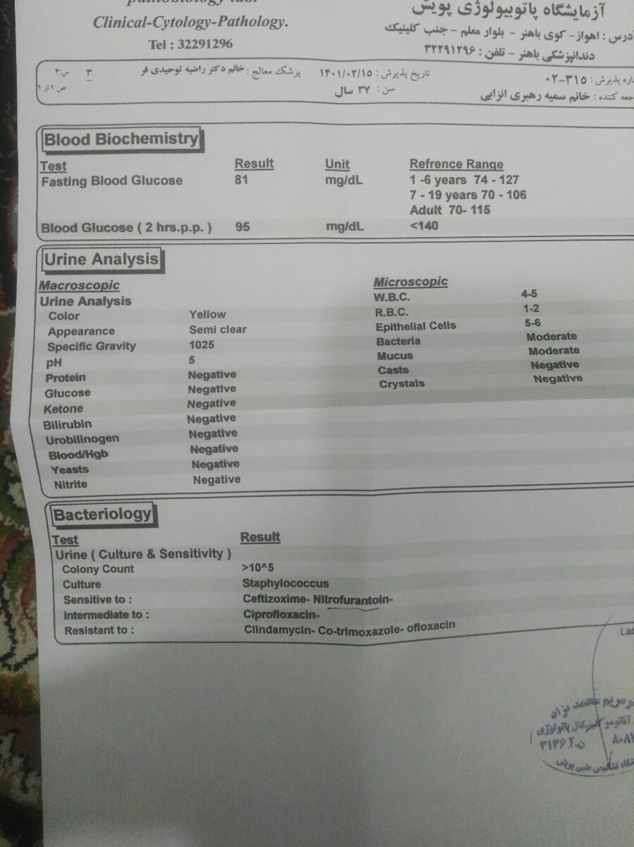 عفونت ادراری وقرص نیتروفورانتوئین عفونت ادراری وقرص نیتروفورانتوئین