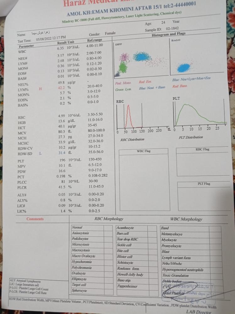 تفسیر آزمایش قبل بارداری