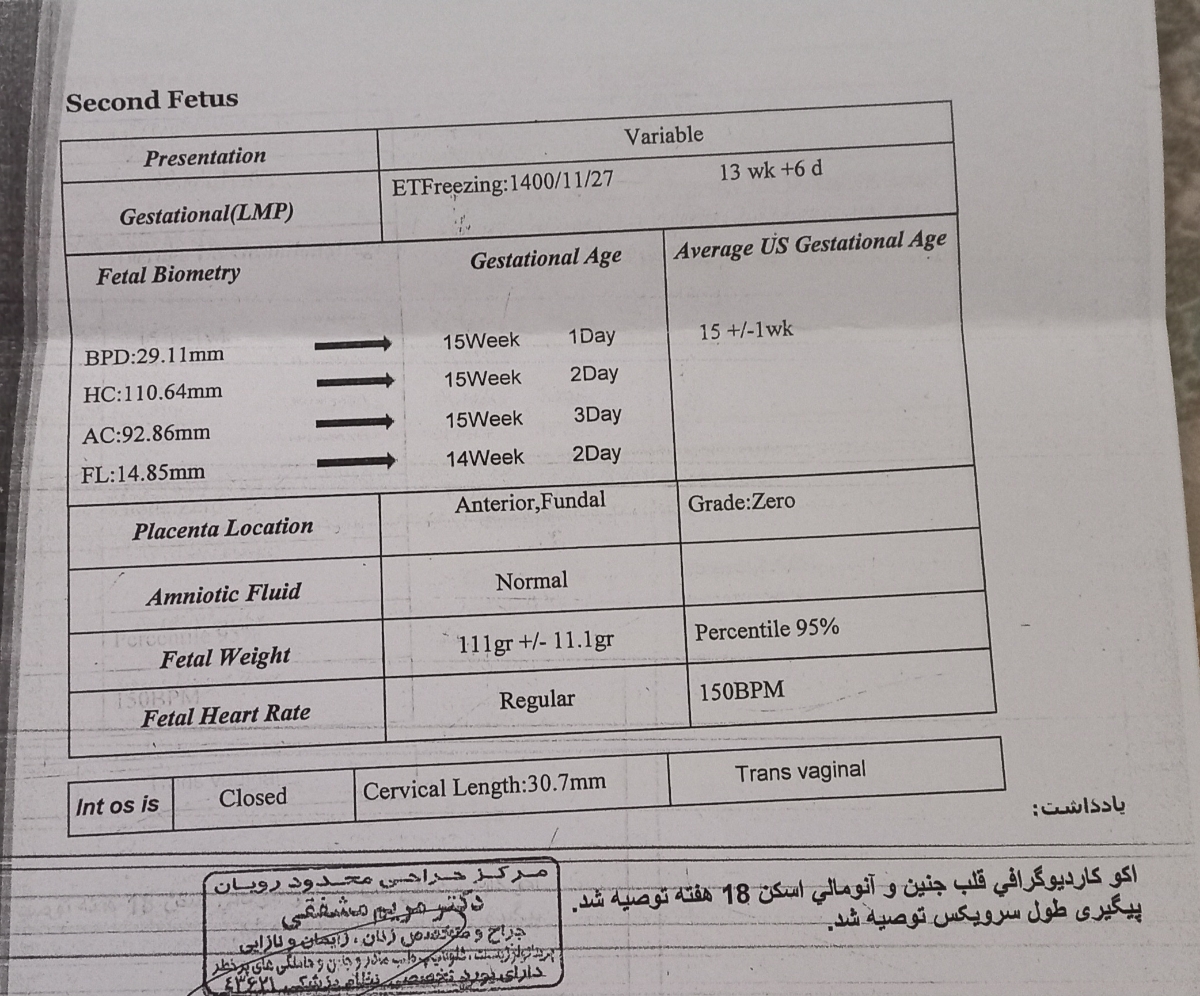 تفسیر سونو بارداری ۱۴هفته تفسیر سونو بارداری ۱۴هفته