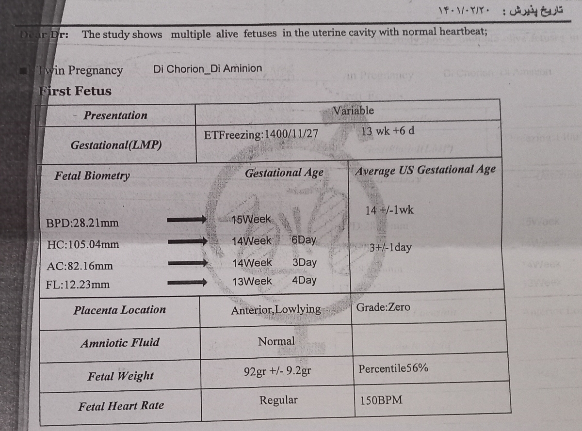 تفسیر سونو بارداری ۱۴هفته تفسیر سونو بارداری ۱۴هفته