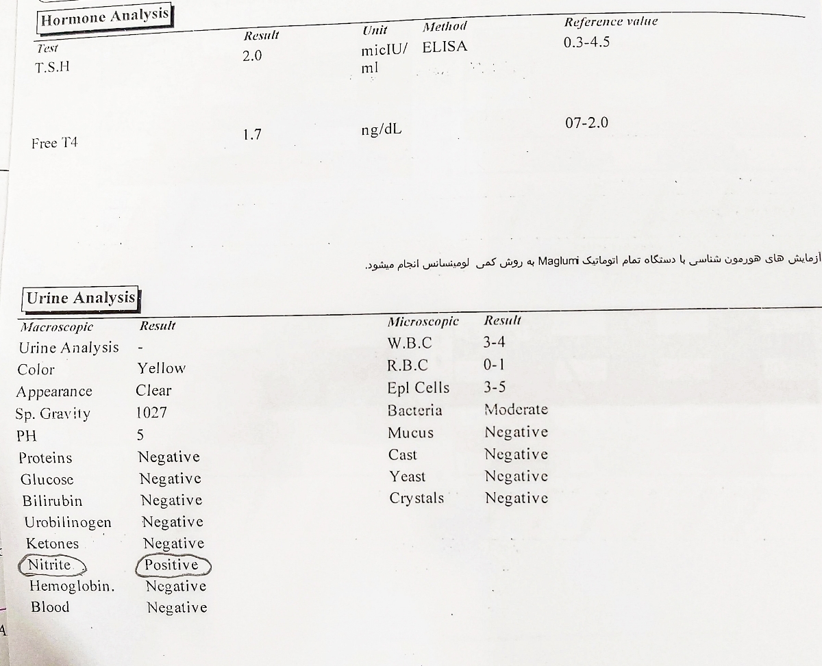 بررسی جواب ازمایش