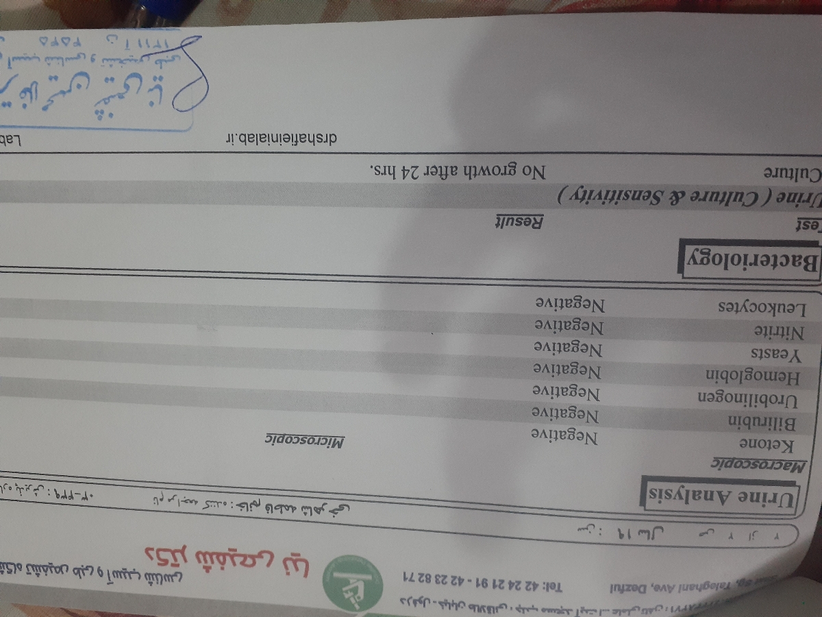آزمایشات هفته ۲۴ بارداری آزمایشات هفته ۲۴ بارداری