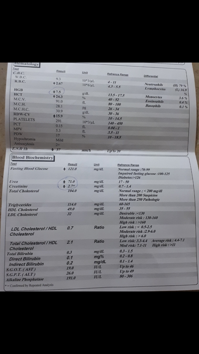 تفسیر سونو کلیه