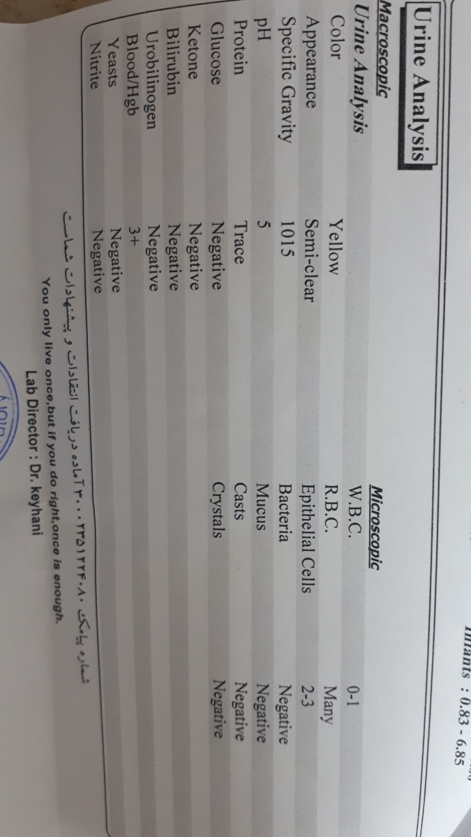 تفسیر سونو کلیه