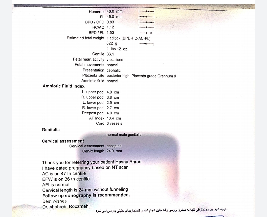 تفسیر سونوگرافی هفته ۲۶ تفسیر سونوگرافی هفته ۲۶