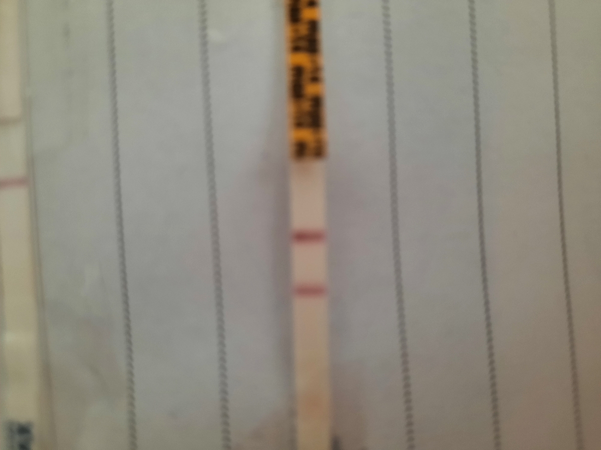 سلام ببخشیدمن امروز دوباره ازکیت تخمک گذاری استفاده کردم مال من ببینید ازتون خواهش میکنم جواب پیام بدهید زود امروز۱۴سیکل هست ازکیت تخمک گذاری استفاده کردم سلام ببخشیدمن امروز دوباره ازکیت تخمک گذاری استفاده کردم مال من ببینید ازتون خواهش میکنم جواب پیام بدهید زود امروز۱۴سیکل هست ازکیت تخمک گذاری استفاده کردم