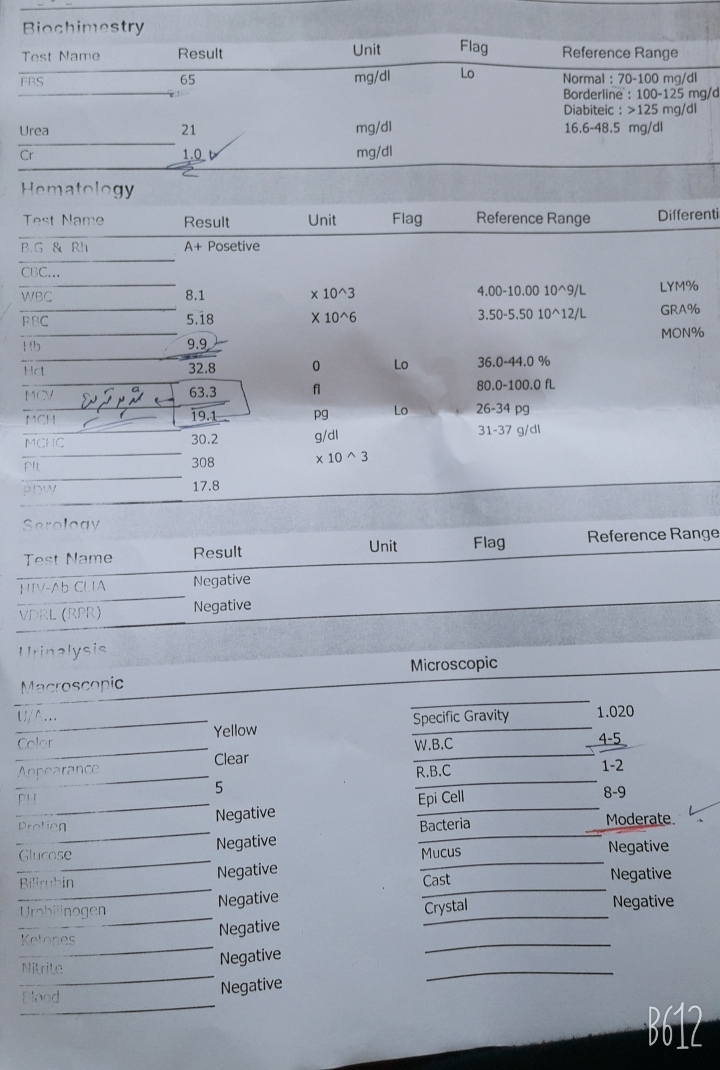 تفسیر آزمایش اولیه بارداری تفسیر آزمایش اولیه بارداری