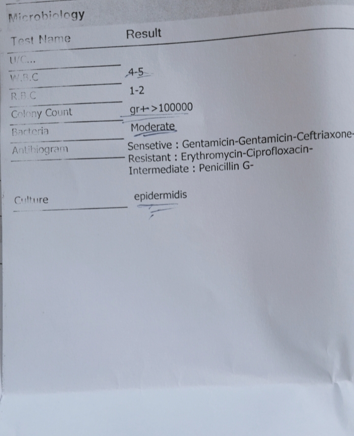 تفسیر آزمایش اولیه بارداری تفسیر آزمایش اولیه بارداری