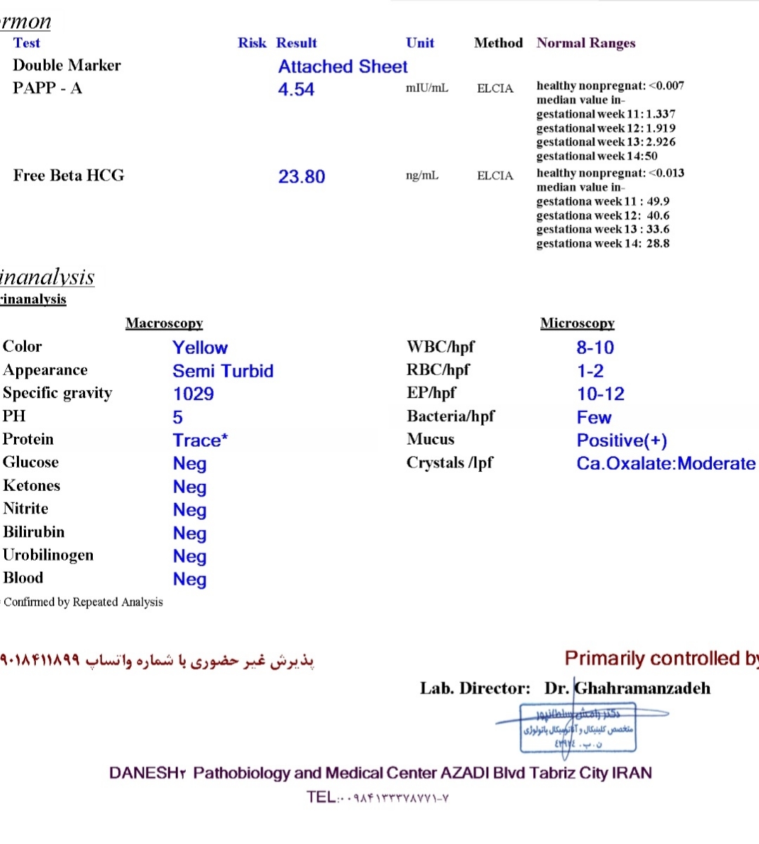 نتیجه آزمایش خون ان تی و ادرار نتیجه آزمایش خون ان تی و ادرار