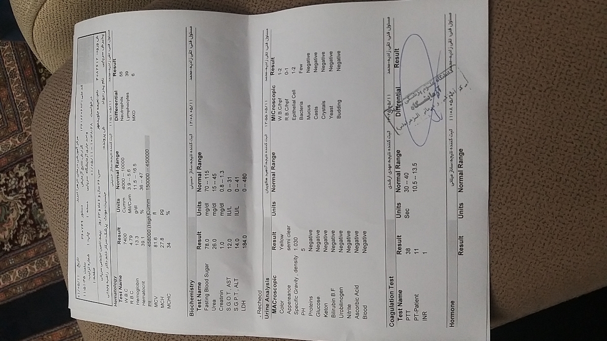 تقویت تخمک و اسپرم تقویت تخمک و اسپرم