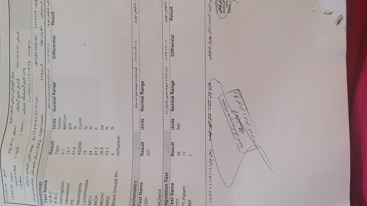 تقویت تخمک و اسپرم تقویت تخمک و اسپرم