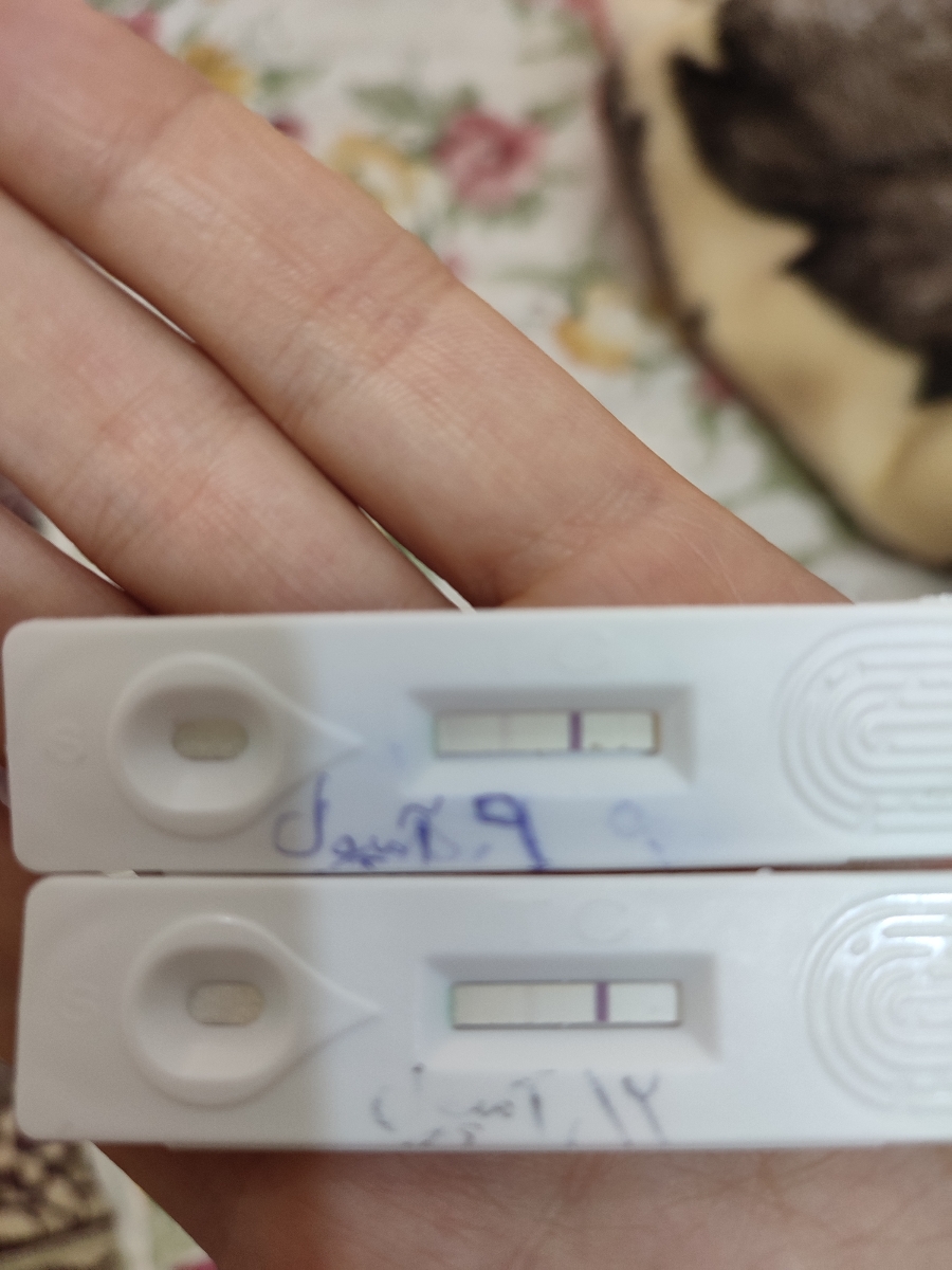 این بیبی هام هس، بعد خشک شدن این بیبی هام هس، بعد خشک شدن