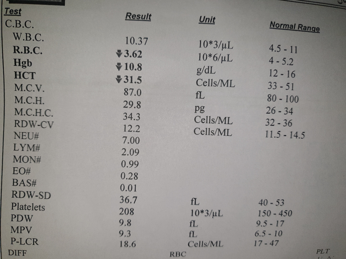 کم خونی در بارداری کم خونی در بارداری