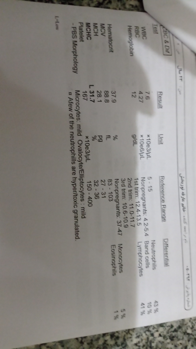 جواب آزمایش کلی بارداری جواب آزمایش کلی بارداری