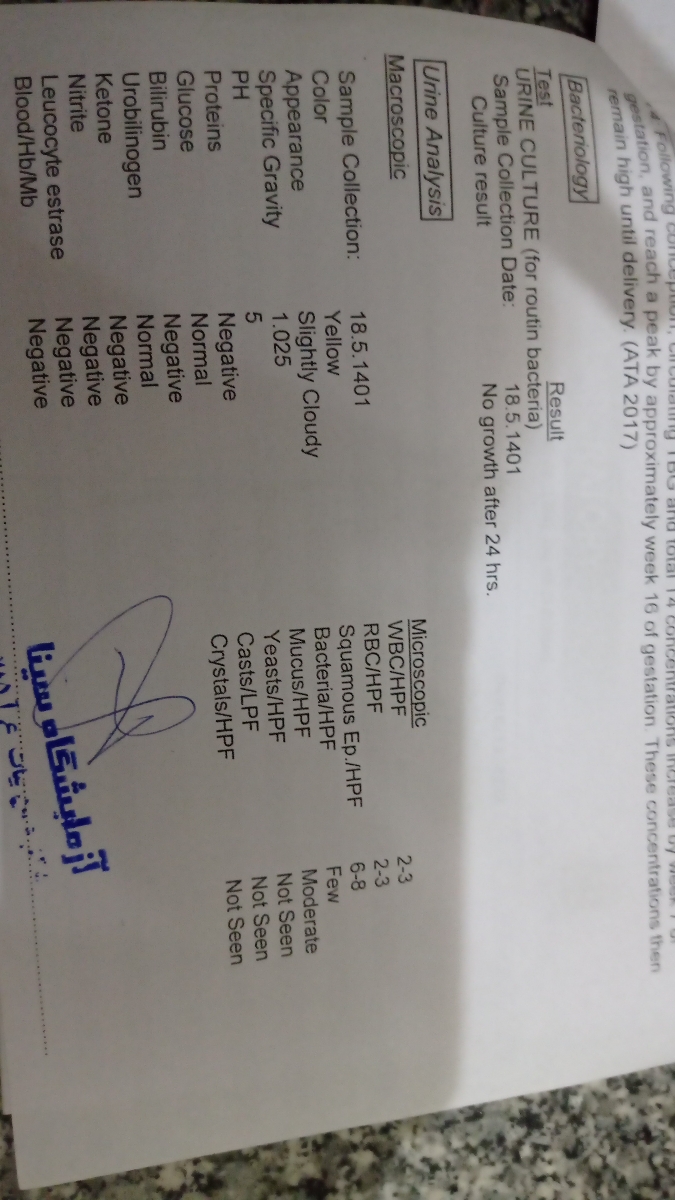 جواب آزمایش کلی بارداری جواب آزمایش کلی بارداری