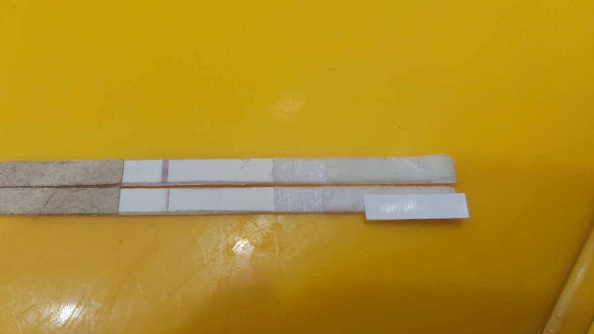 بی بی چک روز ۱۰انتقال