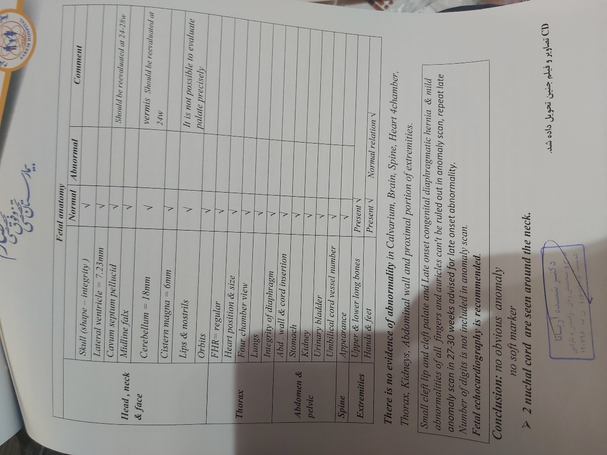 تفسیر سونو آنومالی تفسیر سونو آنومالی