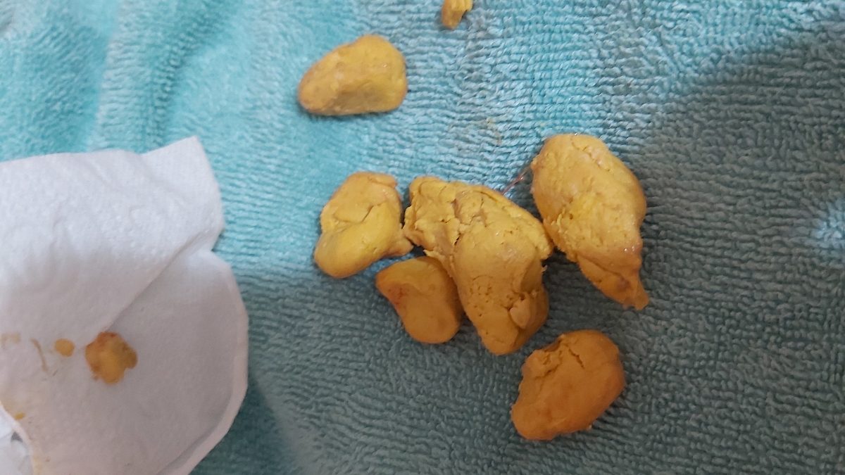 ترکیب کردن شیر خشک ای ار و معمولی ترکیب کردن شیر خشک ای ار و معمولی