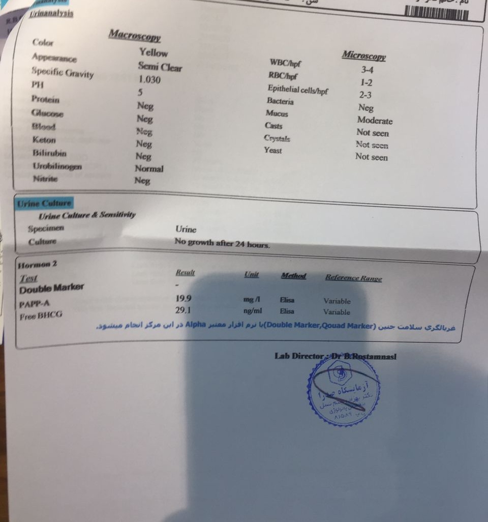 جواب ازمایش سه ماهه اول و ان تی