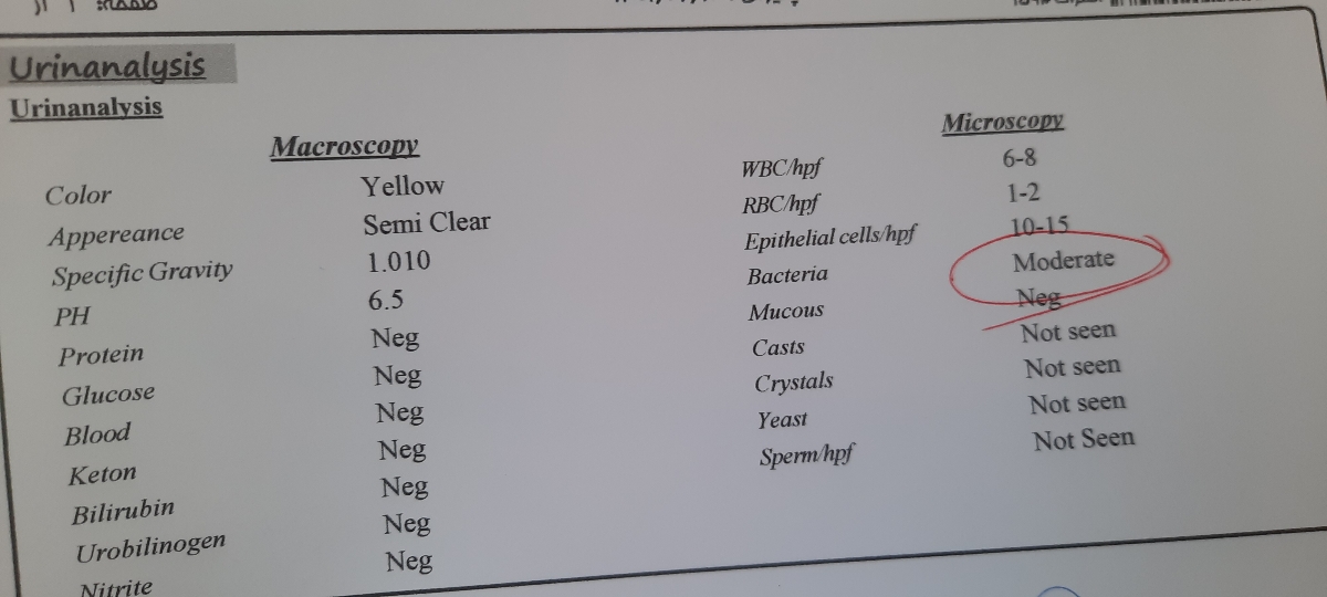 تفسیر سونوگرافی رشد جنین تفسیر سونوگرافی رشد جنین