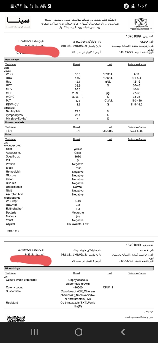 جواب ازمایش در هفته۲۹