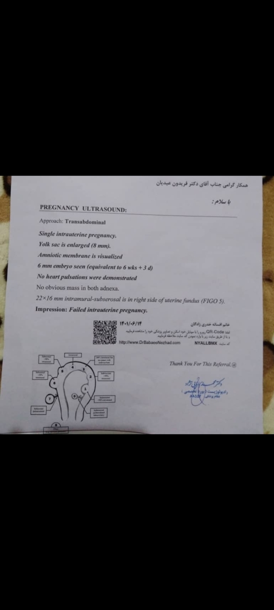 تفسیر سونو بارداری لطفا