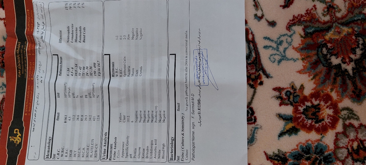 جواب ازمایش عفونت ادراری