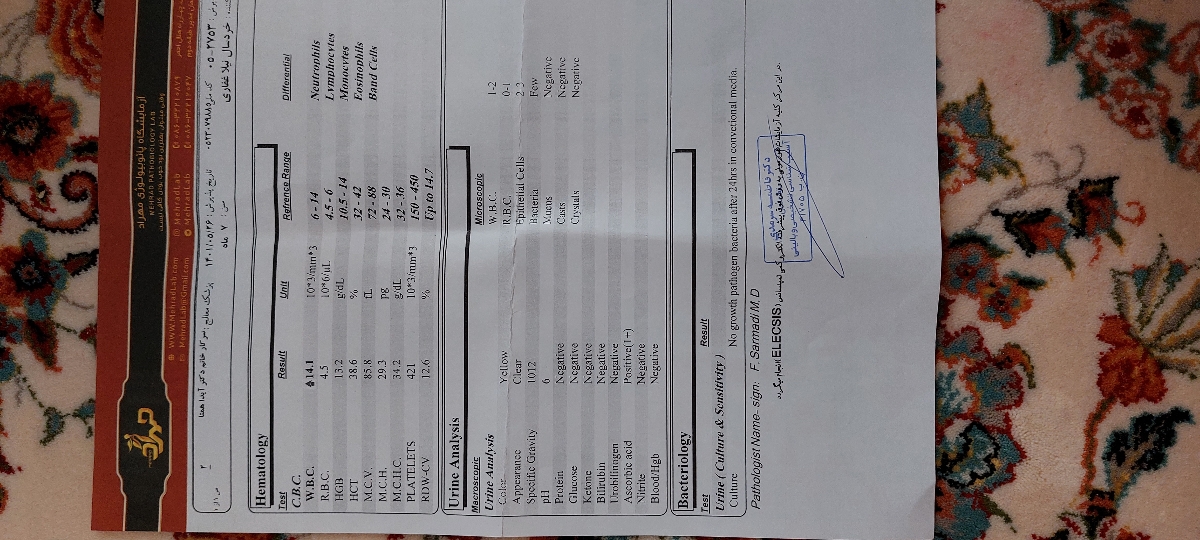 جواب ازمایش عفونت ادراری