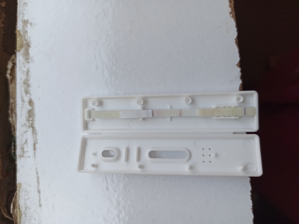 بیبی چک هاله دار