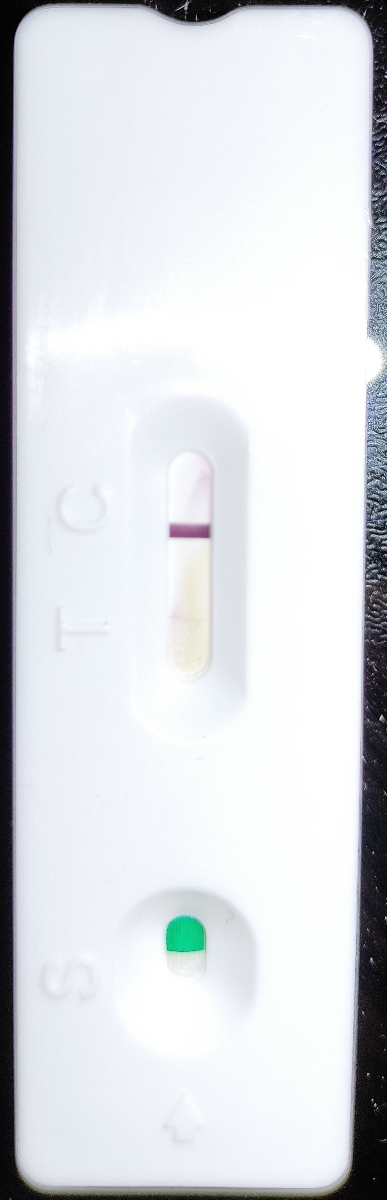 بچه ها من صبح ساعت ۹ و نیم اینو زدم اون موقع جای خط تی فقط یه خط سفید افتاده بود من عجله داشتم نموندم ببینم چی میشه رفتم بیرون ساعت ۱ اومدم دیدم اینجور شده ۴ روز مونده به موعدم . خرابه ؟؟