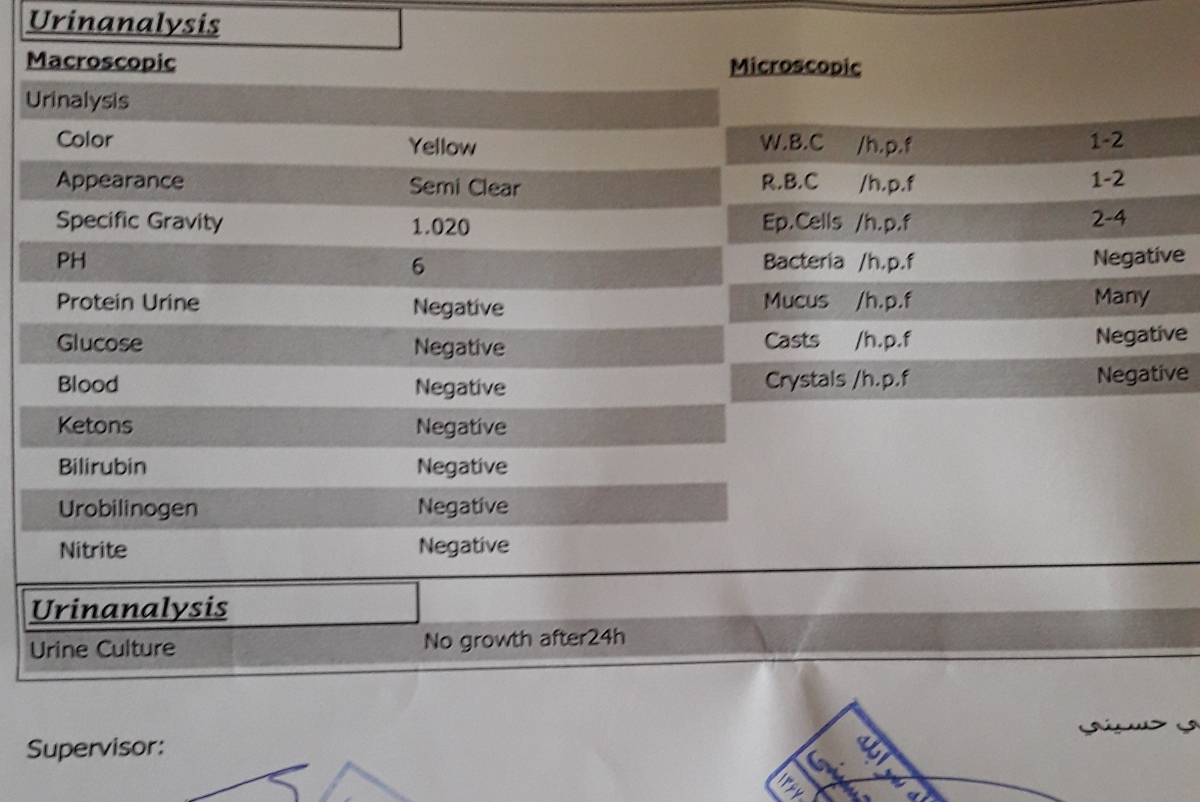 تفسیر جواب آزمایش من