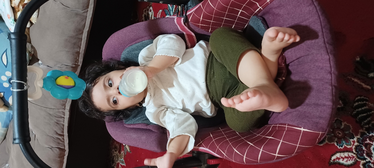 این الانشه این الانشه