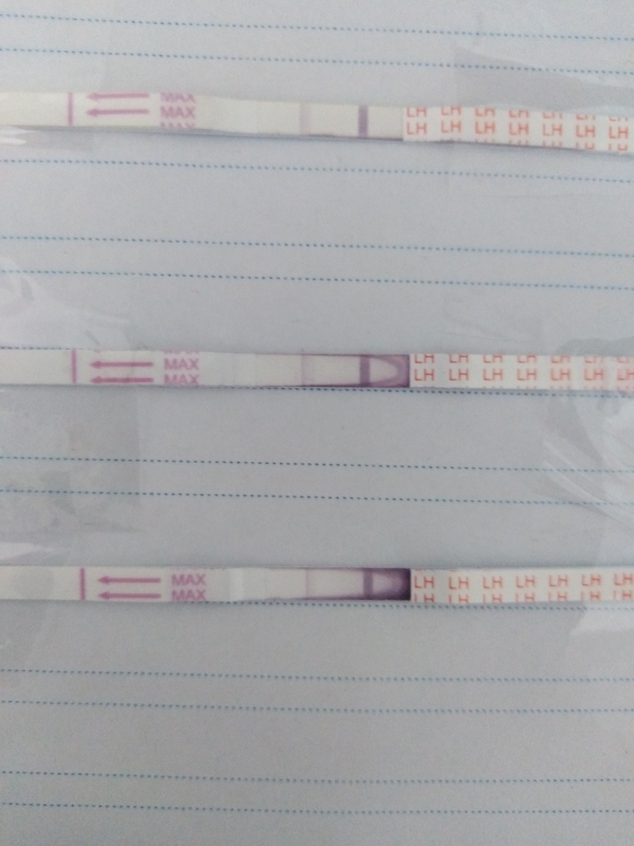 عکس کیت گذاشتم ببیند درسته