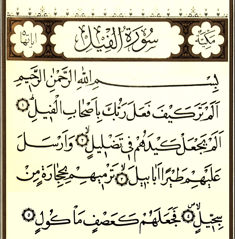 🌺بسم الله الرحمین الرحیم🌺
🌷اللهم عجل لولیک الفرج🌷
🥀روز 25 از چله ی مبارک سوره ی فیل🥀
به نیت حاجت روایی هممون.انشالله که همگی حاجت روا بشیم و دست پر بریم🤲🤲